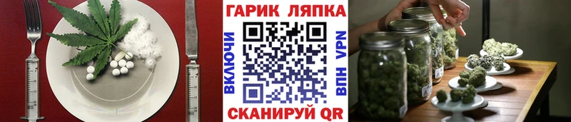мега вход  Обнинск  Еда ТГК конопля 