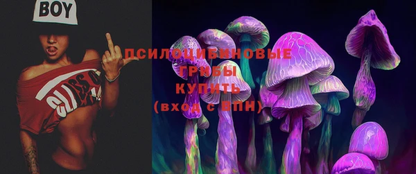 СК Мегион